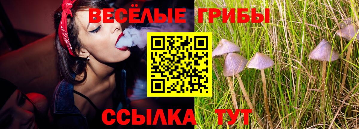 Галлюциногенные грибы Cubensis Ноябрьск