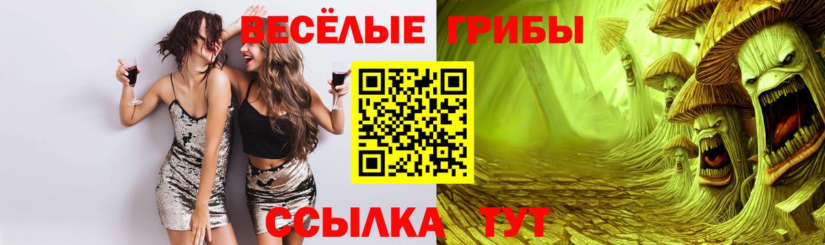 Галлюциногенные грибы MAGIC MUSHROOMS  магазин продажи   Вход с VPN  Ноябрьск  Галлюциногенные грибы Magic Shrooms 
