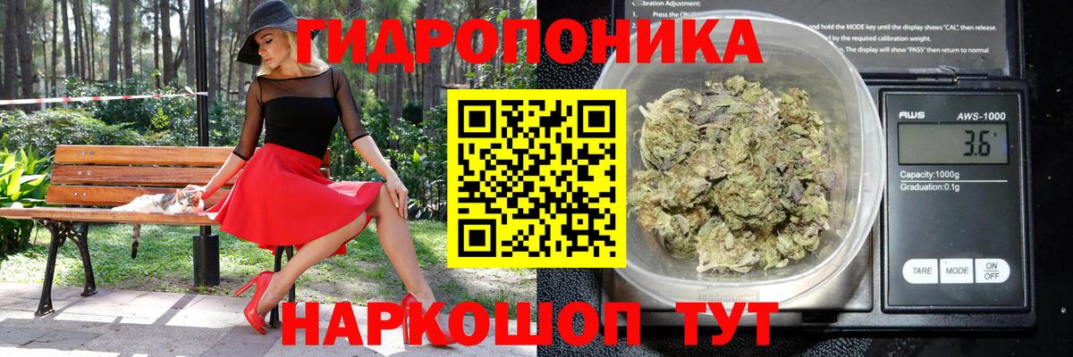 Бошки Шишки White Widow  Канабис White Widow  Ноябрьск  Вход с VPN 